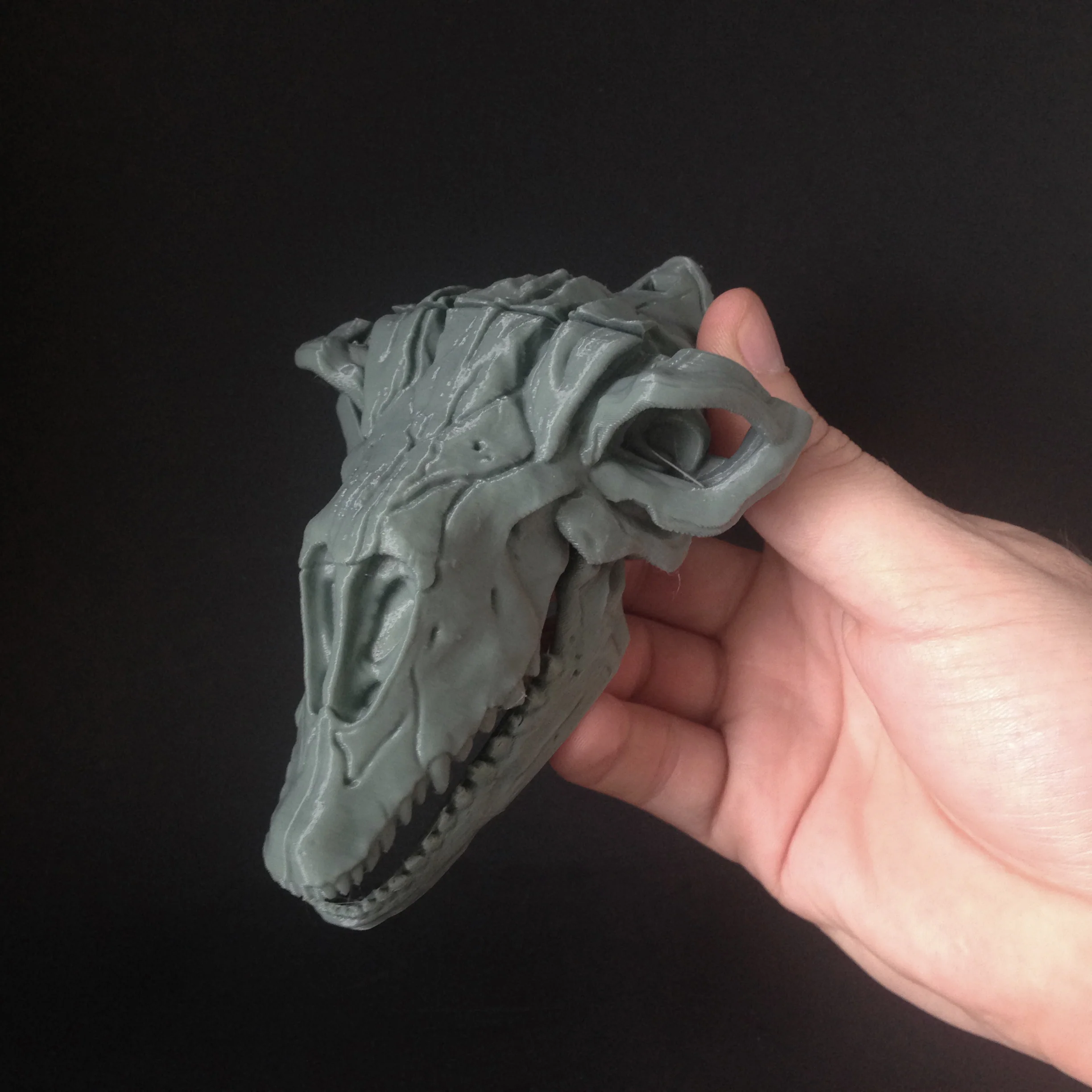 013 Speedy Skull - Image 3